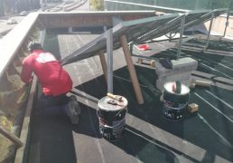 IMG_20171103_131844_resized_20171122_062703626 IMG_20171103_131844_resized_20171122_062703626